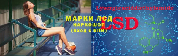 сатива Арсеньев