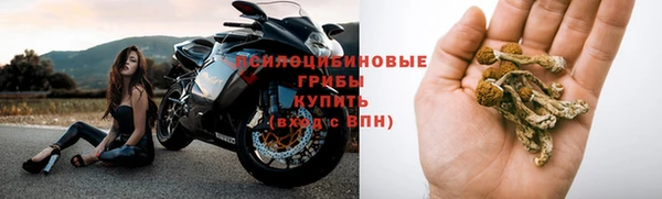 сатива Арсеньев