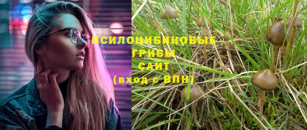 сатива Арсеньев