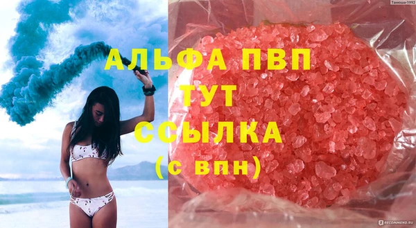 сатива Арсеньев