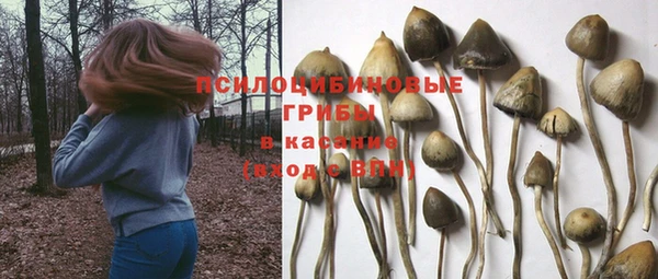 сатива Арсеньев