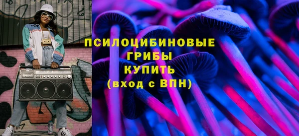ПСИЛОЦИБИНОВЫЕ ГРИБЫ Армянск