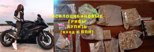 ПСИЛОЦИБИНОВЫЕ ГРИБЫ Армянск