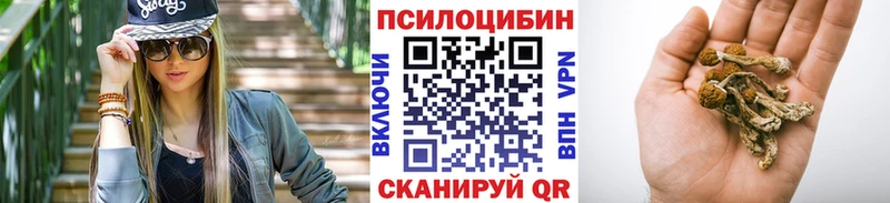 Галлюциногенные грибы GOLDEN TEACHER  KRAKEN ссылка  Унеча  закладка 